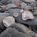Pendientes de porcelana con filo en oro "colección Clavel"